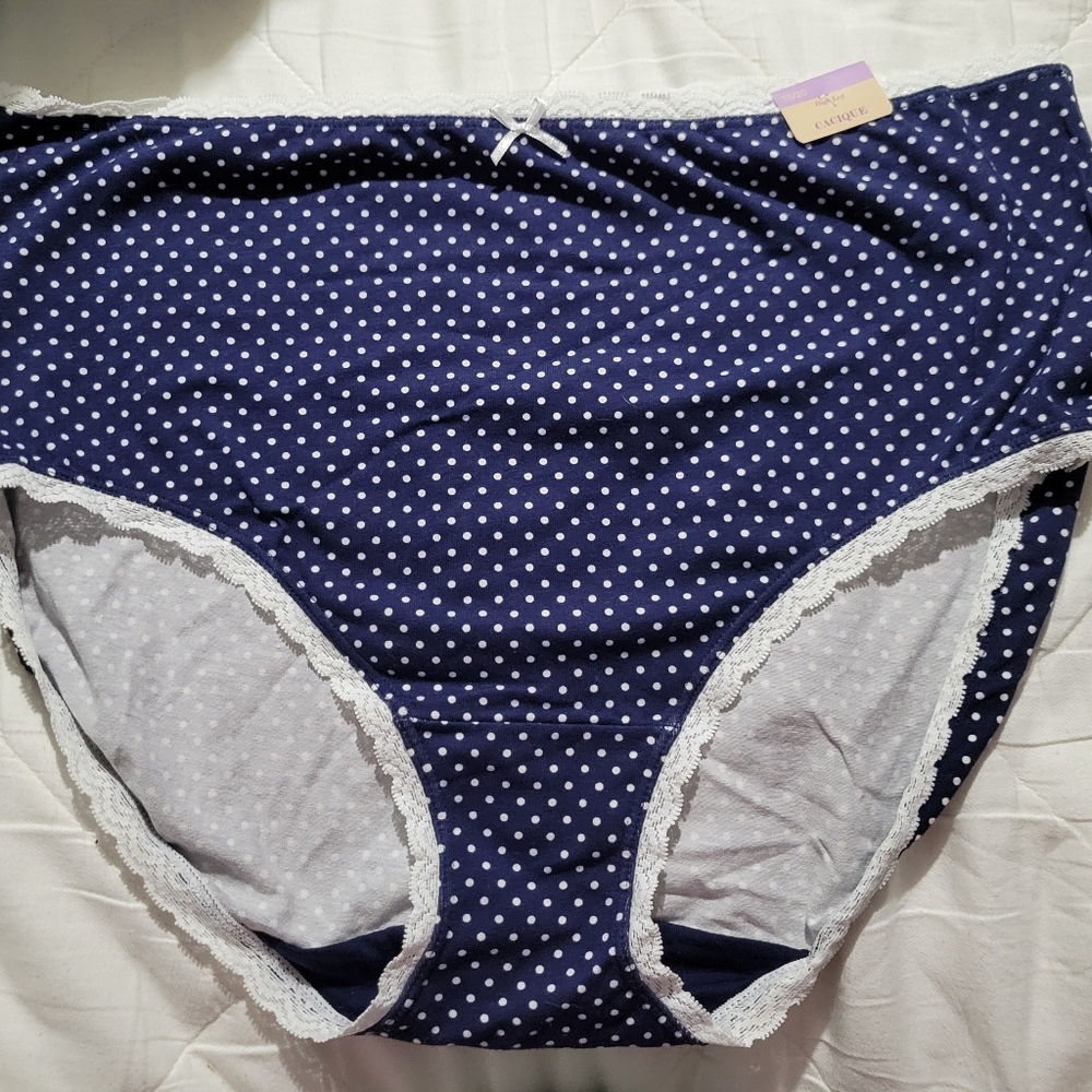 Cacique Lane Bryant Plus Size Panties Underwear Brand New Size 18/20